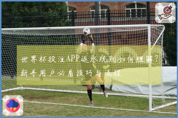 世界杯投注APP返水规则如何理解？新手用户必看技巧与流程