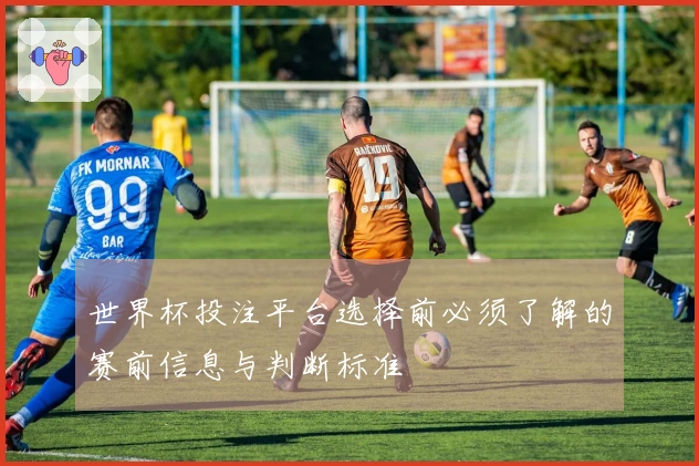 世界杯投注平台选择前必须了解的赛前信息与判断标准