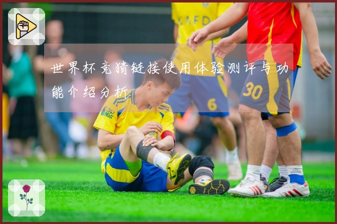 世界杯竞猜链接使用体验测评与功能介绍分析