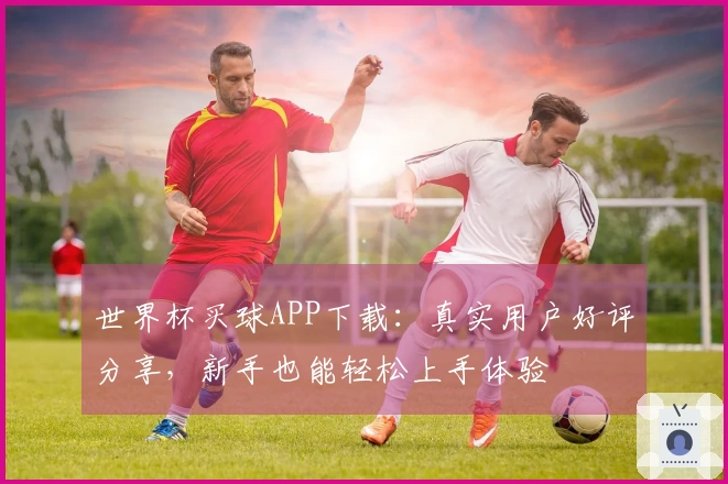 世界杯买球APP下载：真实用户好评分享，新手也能轻松上手体验