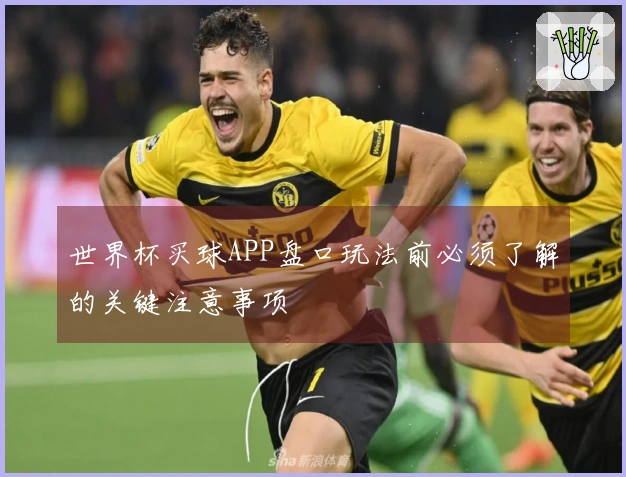 世界杯买球APP盘口玩法前必须了解的关键注意事项