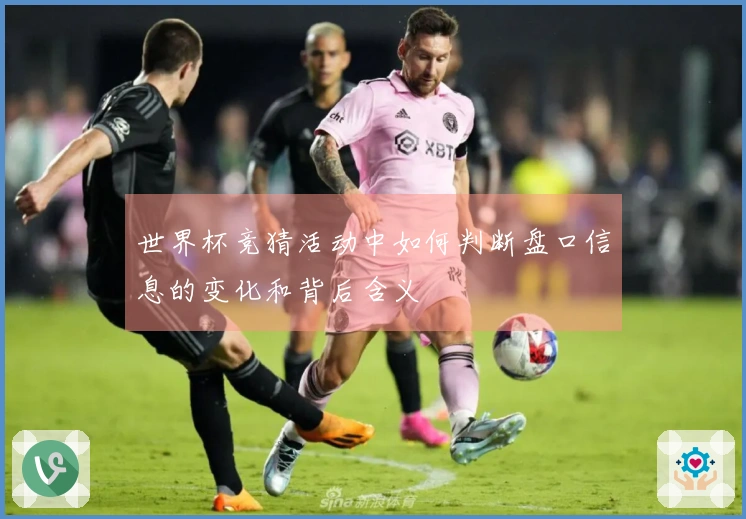 世界杯竞猜活动中如何判断盘口信息的变化和背后含义