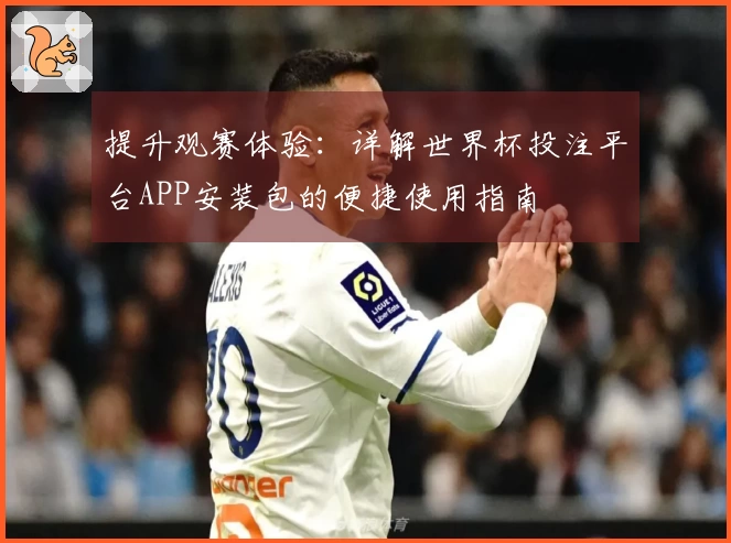 提升观赛体验：详解世界杯投注平台APP安装包的便捷使用指南