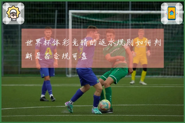 世界杯体彩竞猜的返水规则如何判断是否合规可靠