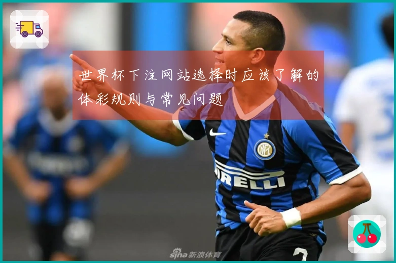 世界杯下注网站选择时应该了解的体彩规则与常见问题