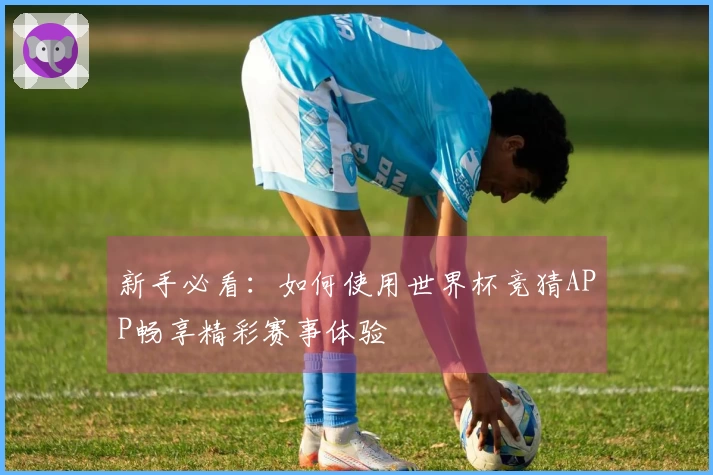 新手必看：如何使用世界杯竞猜APP畅享精彩赛事体验