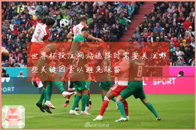 世界杯投注网站选择时需要关注哪些关键因素以避免踩雷