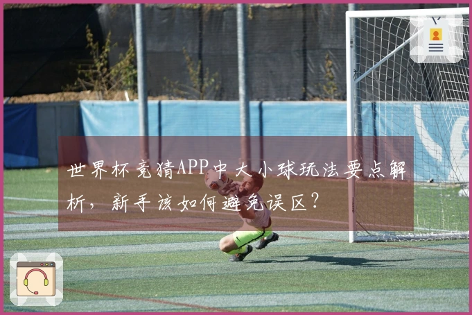 世界杯竞猜APP中大小球玩法要点解析，新手该如何避免误区？