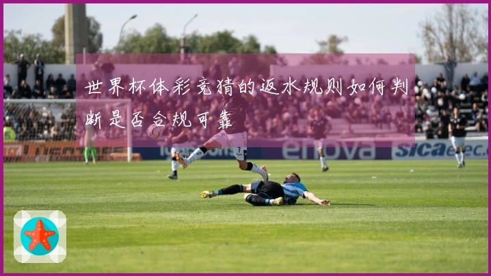 世界杯体彩竞猜的返水规则如何判断是否合规可靠
