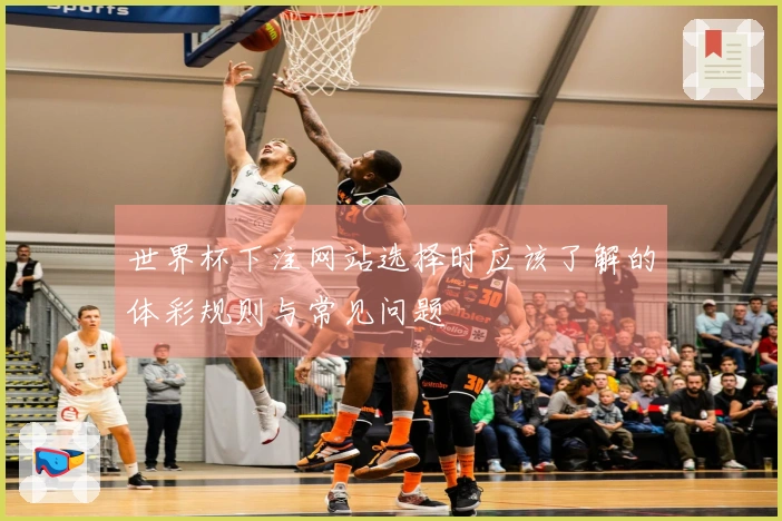 世界杯下注网站选择时应该了解的体彩规则与常见问题