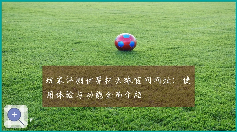 玩家评测世界杯买球官网网址：使用体验与功能全面介绍