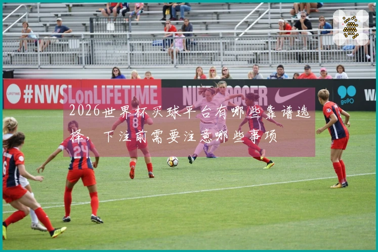 2026世界杯买球平台有哪些靠谱选择,下注前需要注意哪些事项