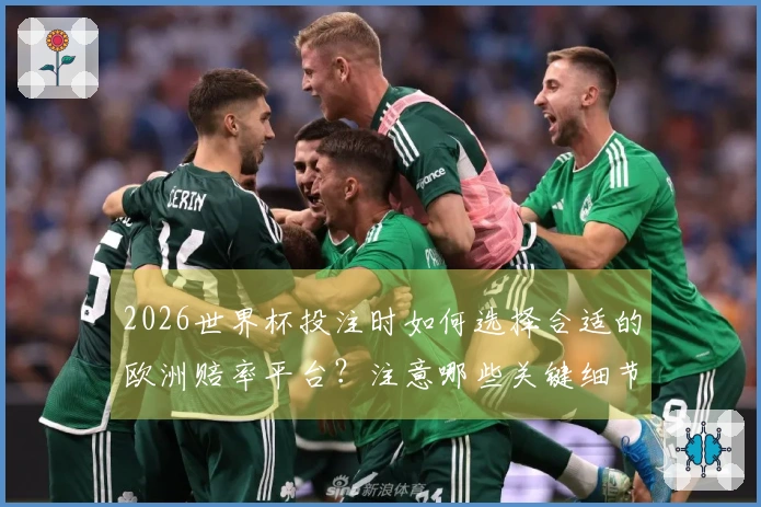 2026世界杯投注时如何选择合适的欧洲赔率平台？注意哪些关键细节？