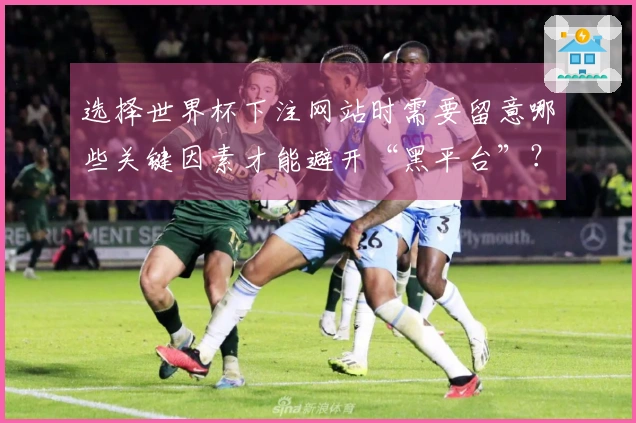 选择世界杯下注网站时需要留意哪些关键因素才能避开“黑平台”？