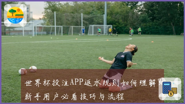 世界杯投注APP返水规则如何理解？新手用户必看技巧与流程
